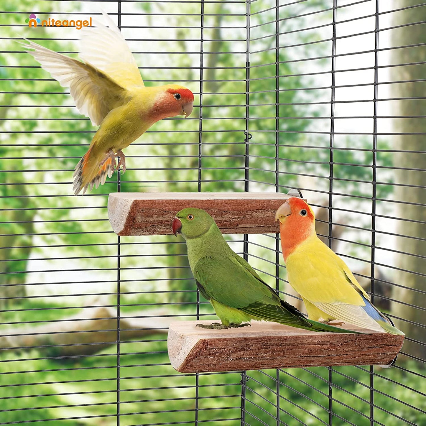 Parrot Cage Perch