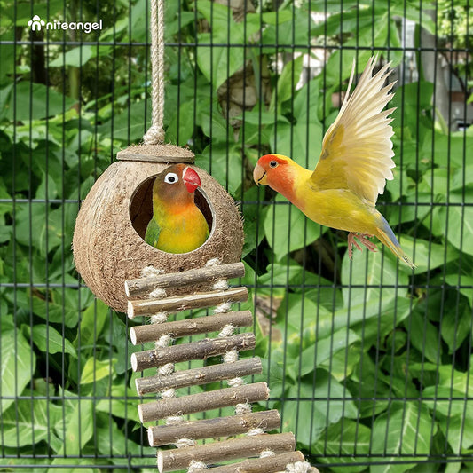 Natural Coconut Hideaway with Ladder for  Bird