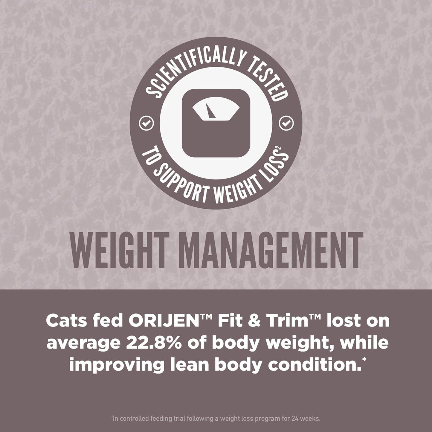 Fit and Trim Dry Cat Food, Grain Free Cat Food for Adult Cats, with Wholeprey Ingredients, 12Lb