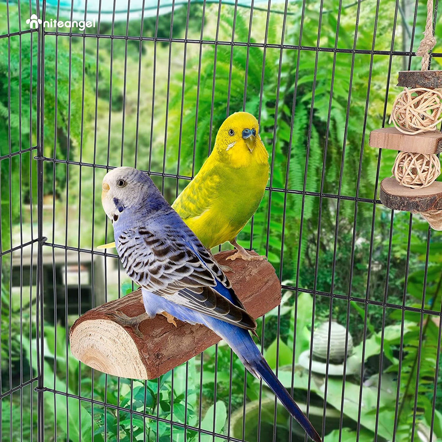 Parrot Cage Perch