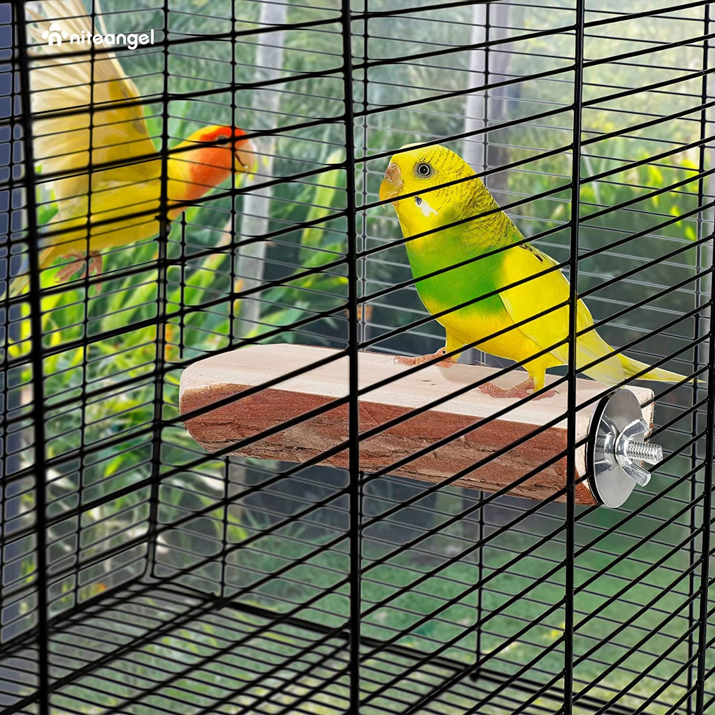 Parrot Cage Perch